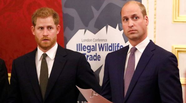 “Batalla de hermanos”, el libro que revelará los graves conflictos entre William y Harry