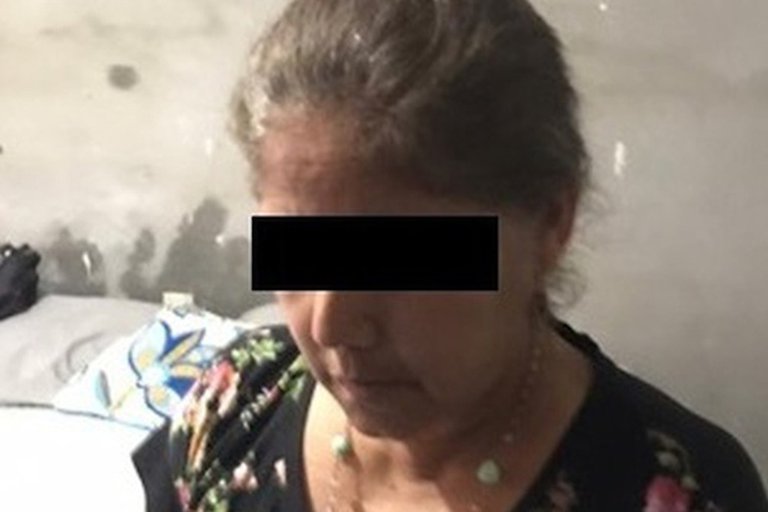 La captura de la mamá del “Marro” fue un montaje: Gertz Manero