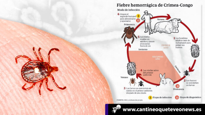 Reaparece en España la Fiebre Hemorrágica de Crimea Congo