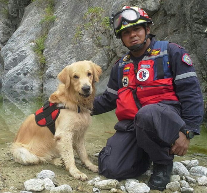 Falleció Orión, el perro rescatista de los bomberos de Miranda