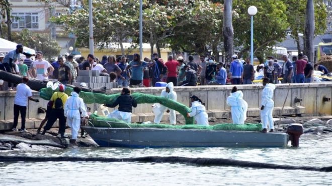 Para proteger a su isla del derrame de crudo que los amenaza, en Mauricio recolectan pelo (VIDEO)