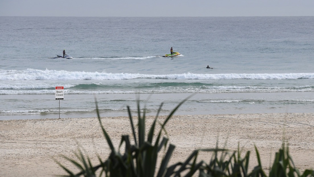 Tiburón blanco mató a un surfista en una playa australiana (Imágenes sensibles)