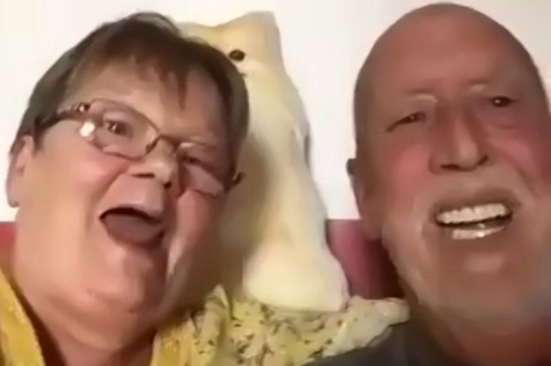 Pareja casada quedó en SHOCK al comprender que AMBOS ganaron la lotería con boletos diferentes