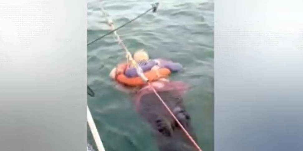 En Colombia, pescadores rescataron a una mujer a la deriva creyendo que era una sirena