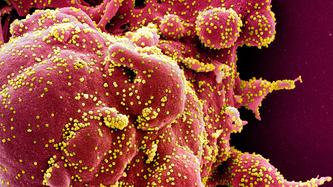 La nueva cepa de coronavirus se ha detectado en ocho países de Europa, según la OMS