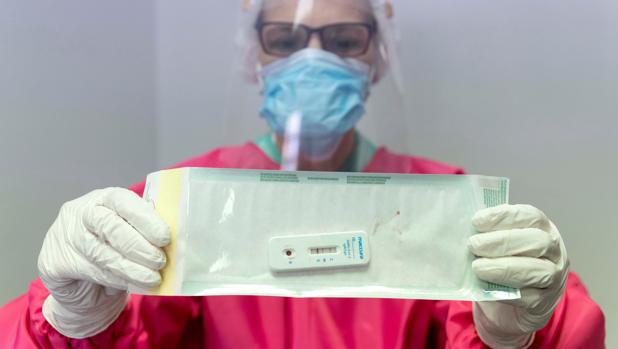 Los anticuerpos contra el Covid-19 persisten más de tres meses después de la infección