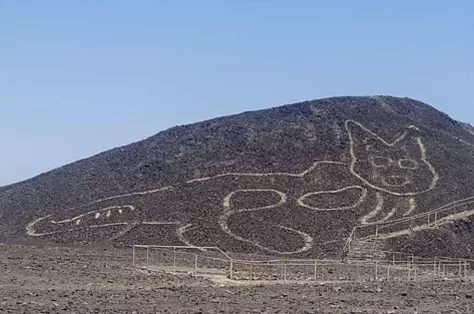 La FOTO: Un gatito de 37 metros, nueva figura descubierta entre geoglifos de Nazca