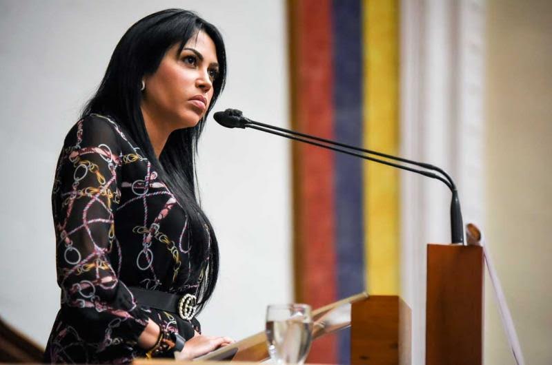 Delsa Solórzano: Relatora de la ONU dio un informe bastante sesgado