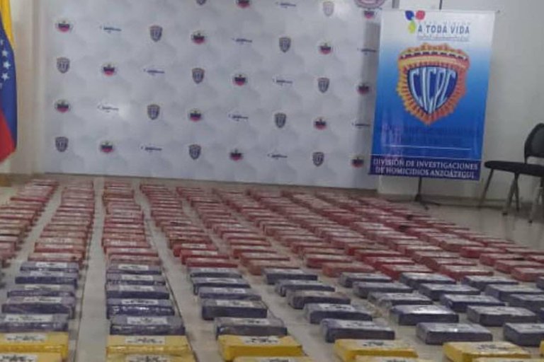 Incautaron media tonelada de cocaína oculta en la pared de una casa en Anzoátegui (Fotos)