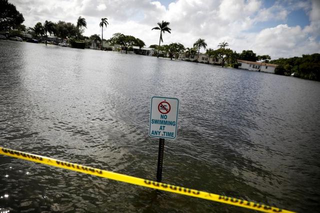 Tormenta Eta recobra fuerza de huracán rumbo a Florida