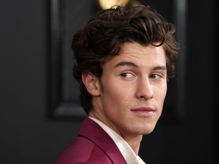 Shawn Mendes y las especulaciones respecto a su sexualidad: “Sufrí mucho”