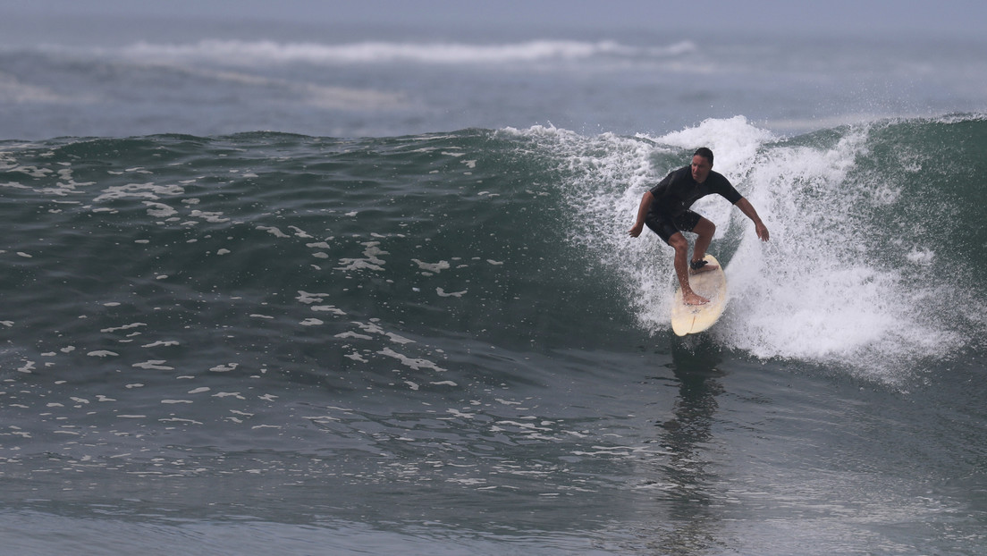 Dron grabó a un tiburón blanco acercándose a surfista que no se dio cuenta del peligro (Video)