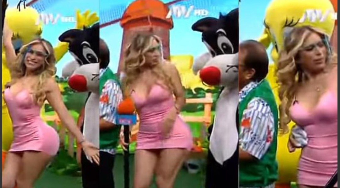 El “gato Silvestre” acosó en vivo a una modelo (Video)