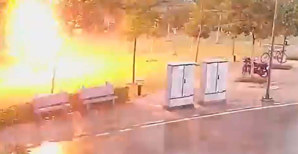 Se resguardan de la lluvia bajo un árbol y son alcanzados por un rayo (VIDEO)