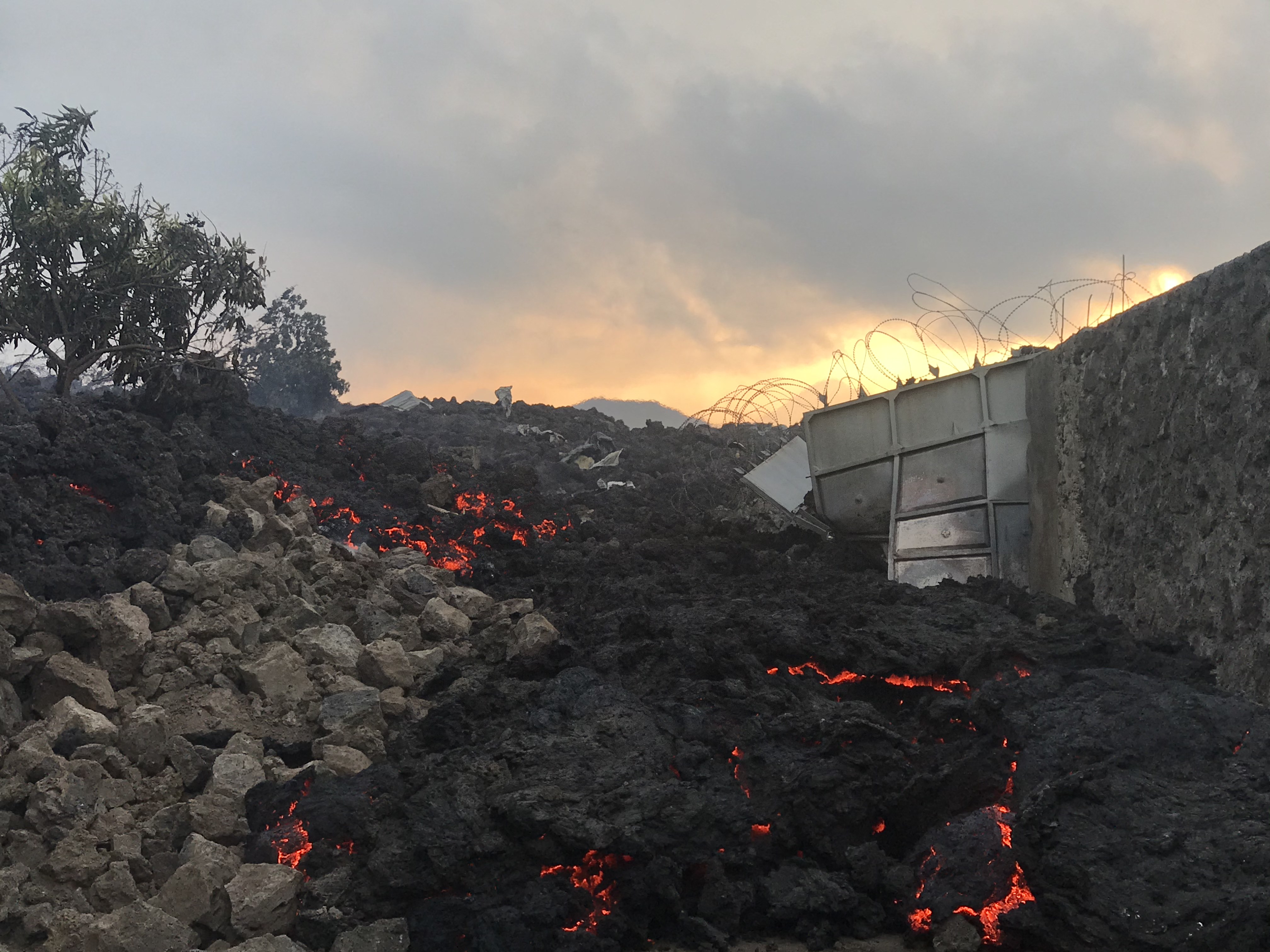 Turistas y gorilas “sanos y salvos” tras erupción volcánica en RD Congo