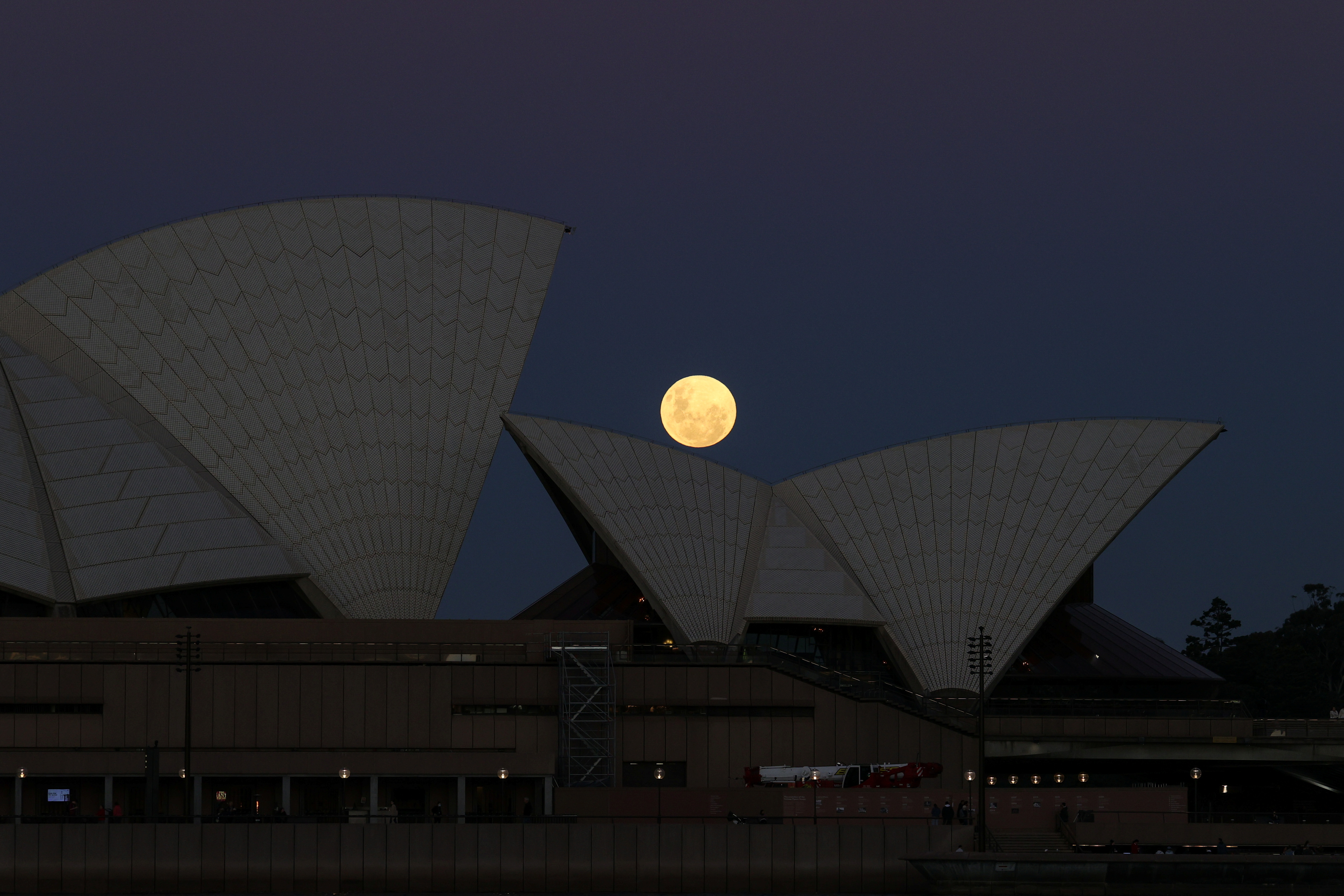 Superluna de las Flores se eleva en un cielo despejado sobre la Ópera de Sídney (Fotos)