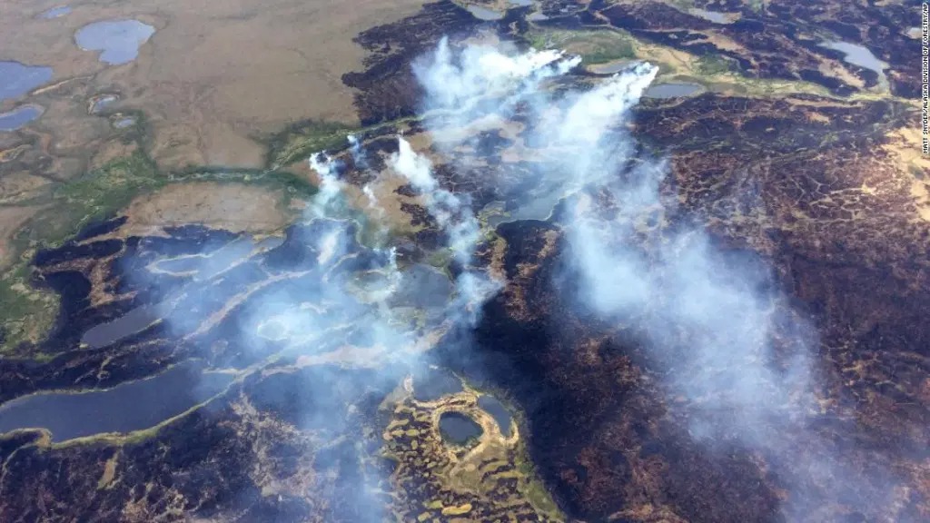 ¿Qué son los “incendios zombies” y por qué se podrían volver más comunes a medida que el planeta se calienta?