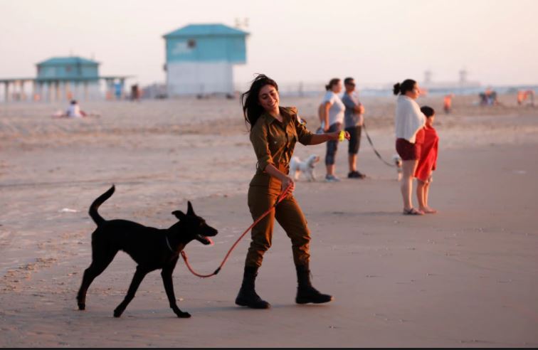 Los efectos secundarios no conocidos de tener un perro, según la ciencia