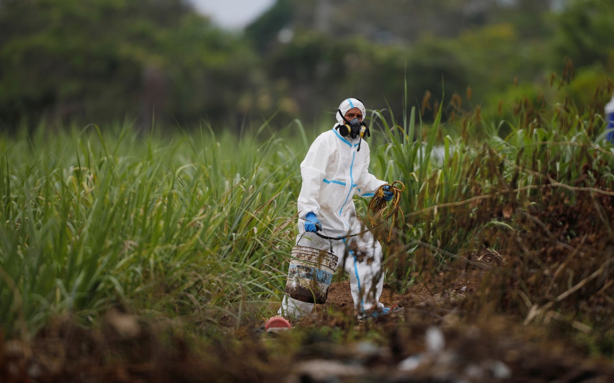 En El Salvador, exhumaron restos de seis víctimas de masacre de civiles en 1980