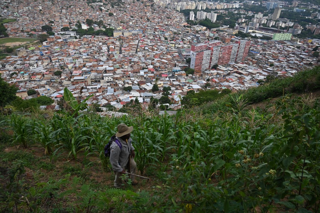 Huertos en un barrio popular de Caracas, la esperanza de una familia para soportar la crisis (FOTOS)