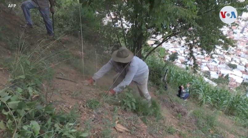 ¿Por qué los caraqueños recurren al “conuco” urbano? (Video)