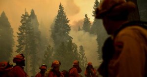 Humo de incendios forestales aumenta contagios por Covid-19 en EEUU, según estudio
