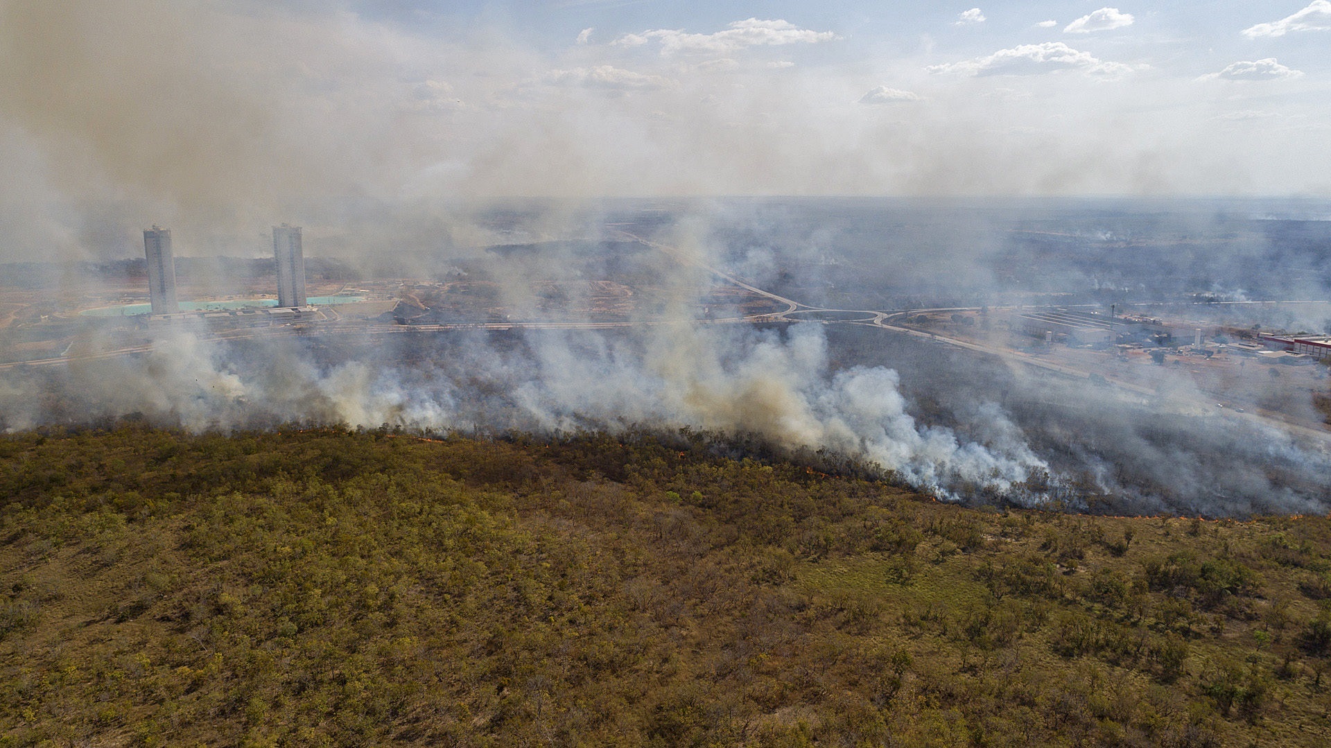 La Amazonía brasileña registró la mayor deforestación de los últimos 15 años