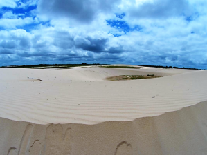 Los Médanos de la Soledad: Entre selva y llanura, un mar de dunas asombra en Apure (FOTOS)