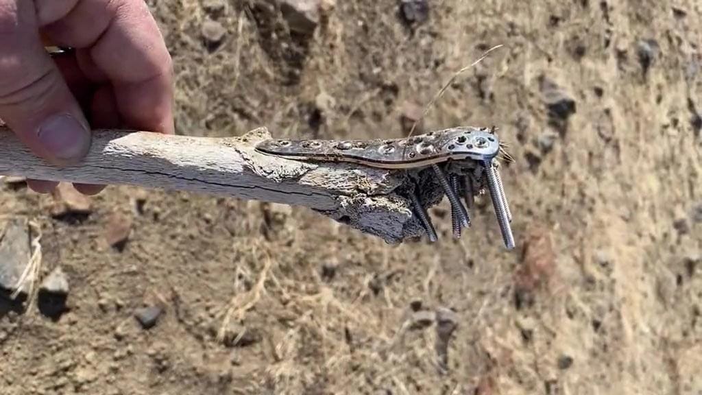 Excursionistas descubren restos humanos en Nevada y resuelven un caso de hace ocho años