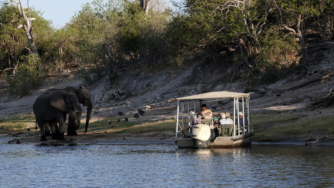 Dentista de EEUU mató a su esposa en un safari para reclamar una fortuna a la aseguradora