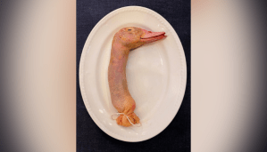 Cuello de pato relleno, el horripilante plato de un popular restaurante enciende las redes (FOTO)