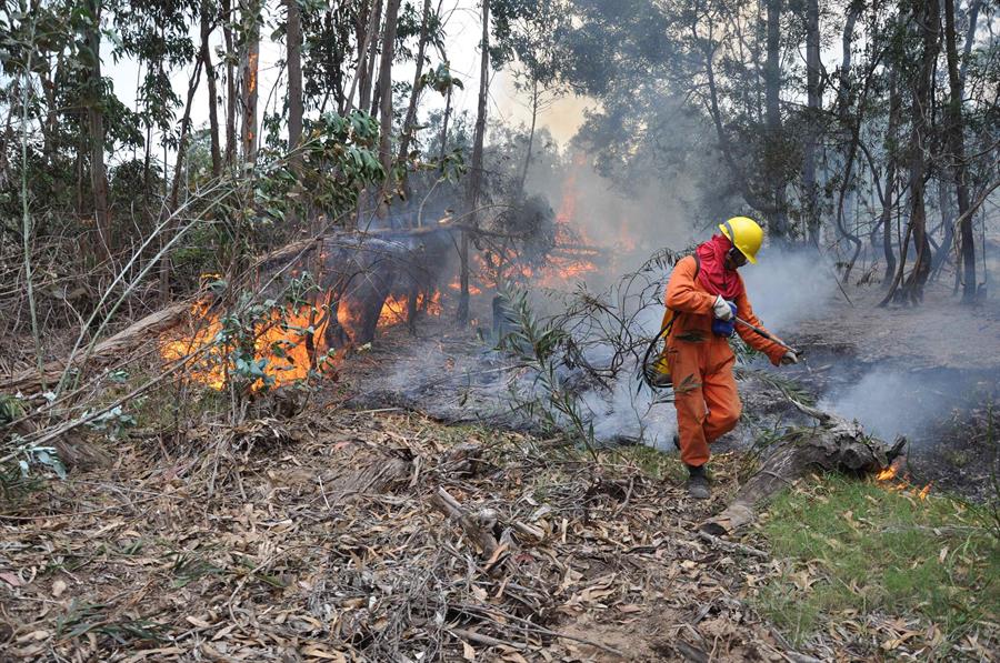 Una ola de calor en Uruguay enciende las alarmas ante posibles incendios