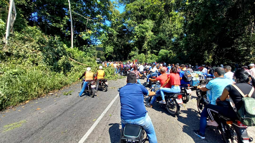 Indígenas de la etnia Yukpas en Táchira protestaron este #31Ene exigiendo la liberación de uno de sus integrantes (Imágenes)