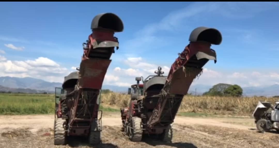 La escasez de gasoil y maquinarias “ponen en jaque” a productores de caña de azúcar en Carabobo