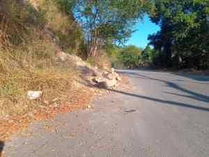 En penumbras con monte y culebras: así están los vecinos de Carrizal en Bejuma