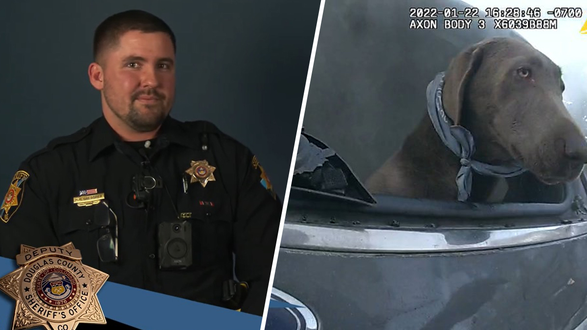¡Héroe sin capa! Policía rescató a un perro a punto de morir dentro de vehículo en llamas en EEUU (VIDEO)
