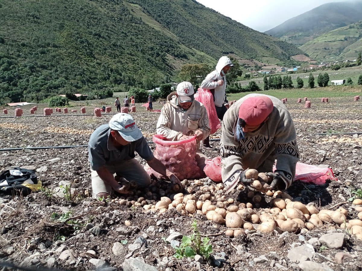 Se pudren cosechas en Mérida por no poder trasladarlas a los mercados ante la escasez de combustible