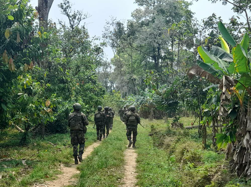 Fanb incautó diez mil litros de químicos para procesar drogas en Apure