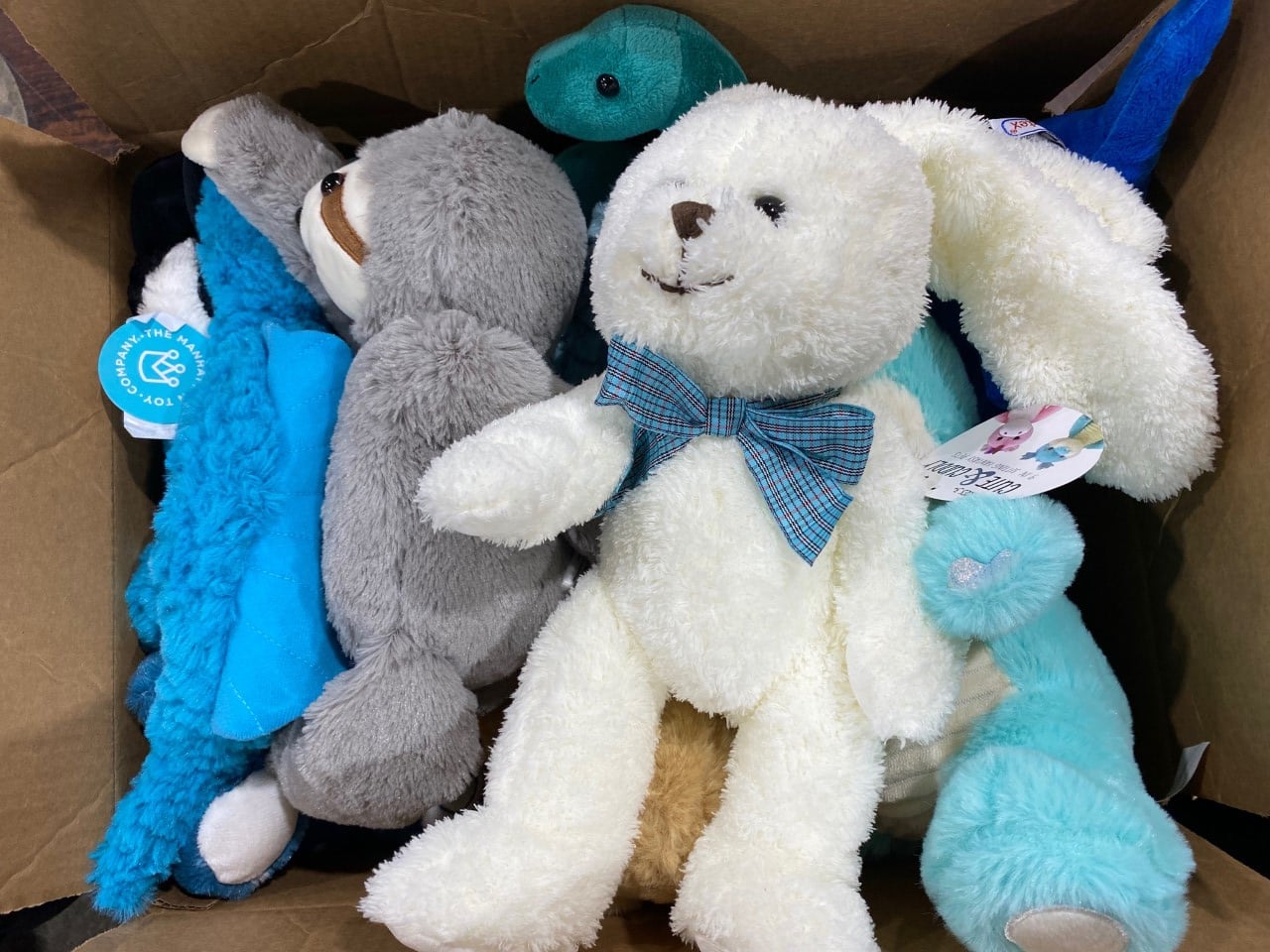 Niño de cinco años regaló más de 500 peluches a pequeños necesitados en EEUU