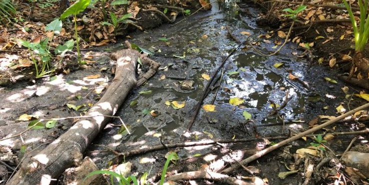 Entre basura y mal olor: Más de 200 familias afectadas por rotura de tubería en Guárico