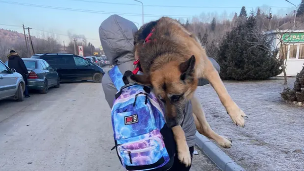 Conmovedor: caminó 17 kilómetros cargando a su perra anciana para huir de los ataques rusos en Ucrania