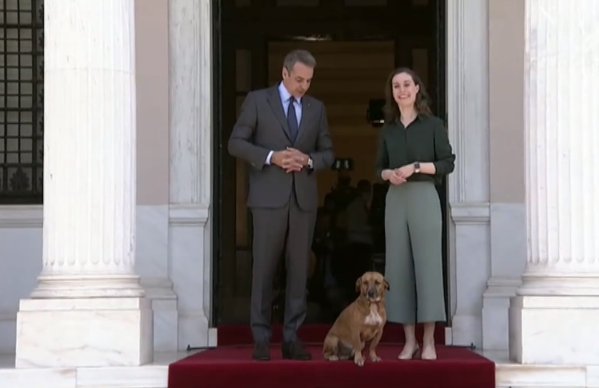 Peanut, el perro del primer ministro griego que se cuela en las fotos oficiales y ladra en sus ruedas de prensa