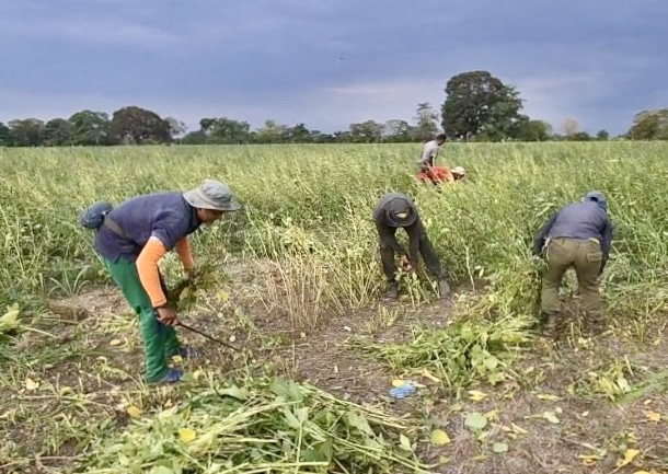 Contabilizan 102 ataques a defensores de la tierra en Venezuela en los últimos cinco años