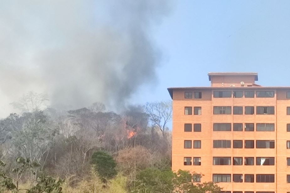 Reportaron incendio en zona boscosa de Parque Caiza este #12abr (Imágenes)