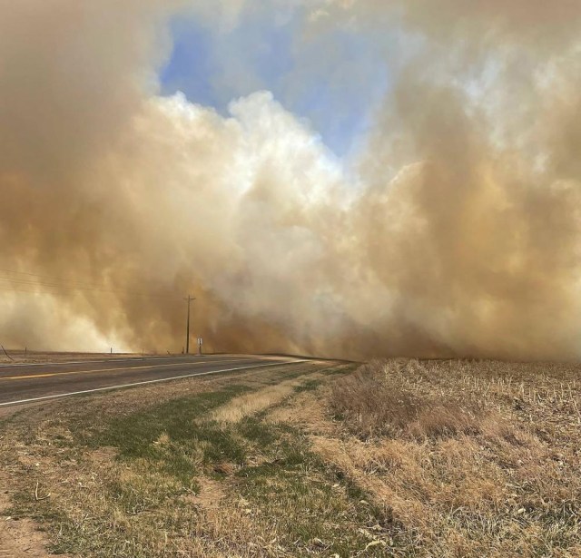 incendio forestal