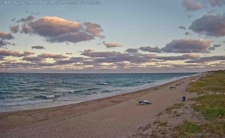 Adolescente se bañaba en una playa de Palm Beach cuando un tiburón le atacó