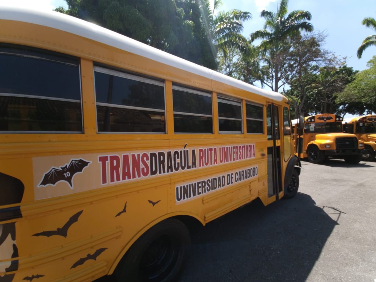 Ruta de Transporte Universitario de la UC está paralizada por falta de gasoil