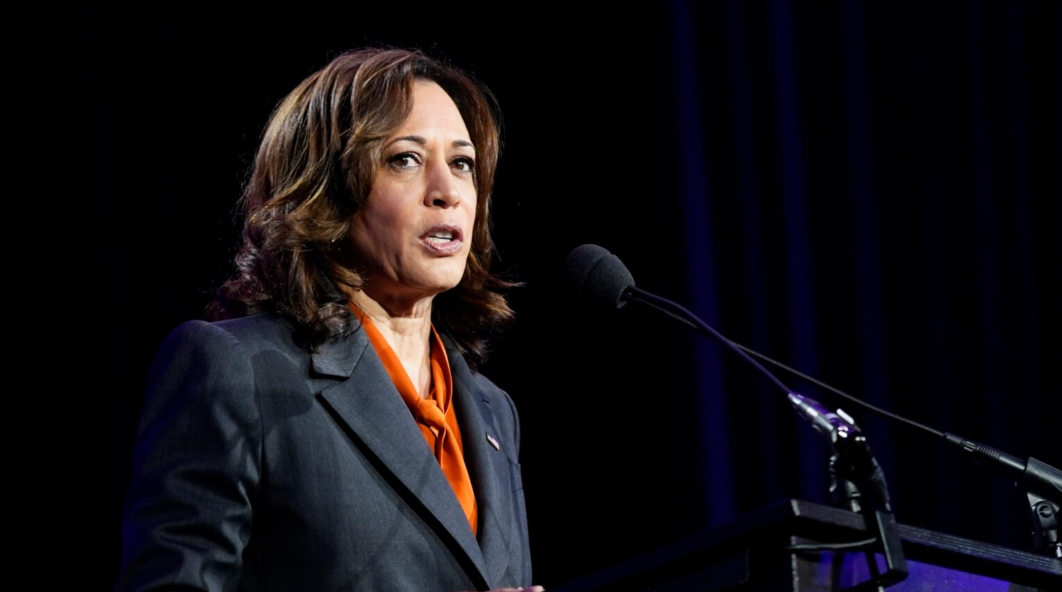 Kamala Harris se reúne con empresarios que invierten en Centroamérica (Video)