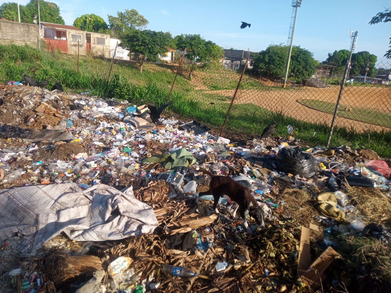 Montañas de basura y zamuros: los “vecinos” de los habitantes del barrio Vista al Sol en Bolívar (FOTOS)