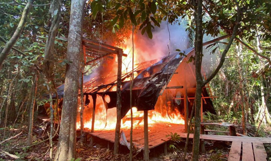 Fanb desmanteló otro taller de explosivos sembrado por la guerrilla en Apure